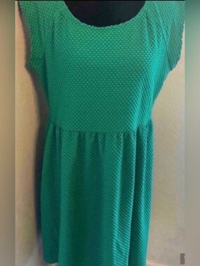 Women’s Green Textured Scoop-Neck Women’s Dress (Size 2XL)